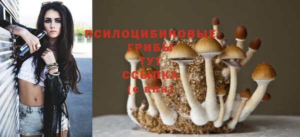 не бодяженный Кулебаки