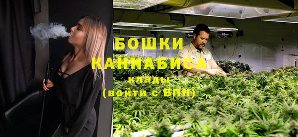 дживик Лагань