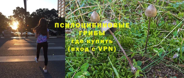 первитин Кукмор