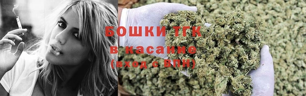 ПСИЛОЦИБИНОВЫЕ ГРИБЫ Куйбышев