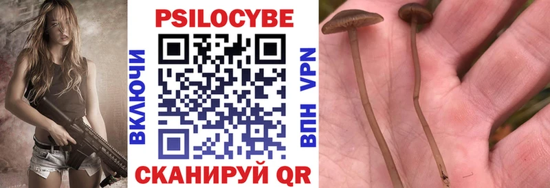 Галлюциногенные грибы MAGIC MUSHROOMS Малгобек
