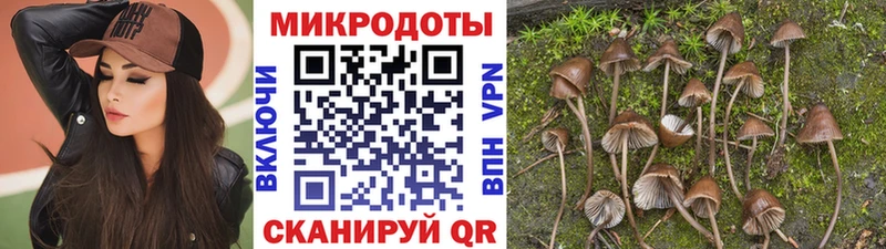 Галлюциногенные грибы GOLDEN TEACHER Малгобек