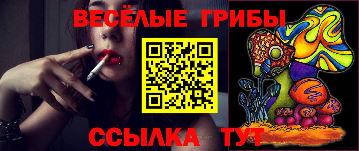 Малгобек  Псилоцибиновые грибы ЛСД  Псилоцибиновые грибы Psilocybe  Вход с VPN 